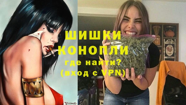 гашик Богданович